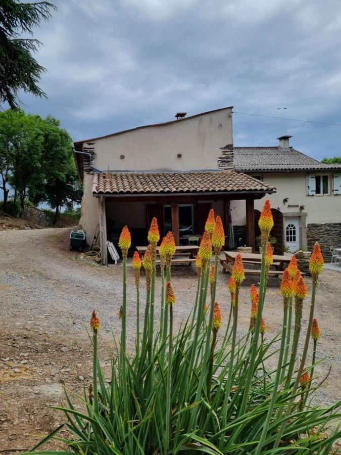Willa L'Oeil De Carcassonne Caudebronde Zewnętrze zdjęcie